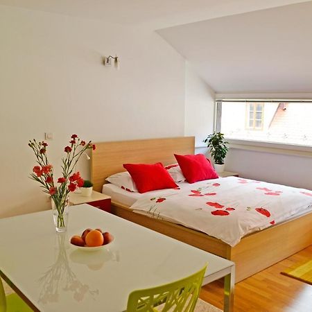Studio In Ljubljana Center Dış mekan fotoğraf